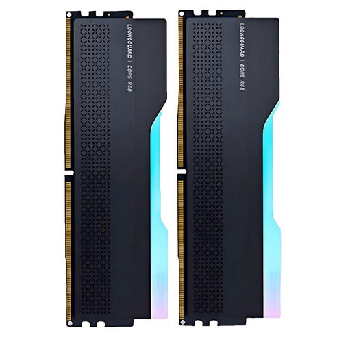 글로웨이 DDR5 데스크탑 RGB 램 블랙 C30 16GB GW6000N16G-RA 2개입, 1개