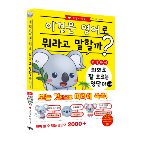 코알라식 영어 뉘앙스 도감, 의외로 잘 모르는 영단어 도감, 더북에듀