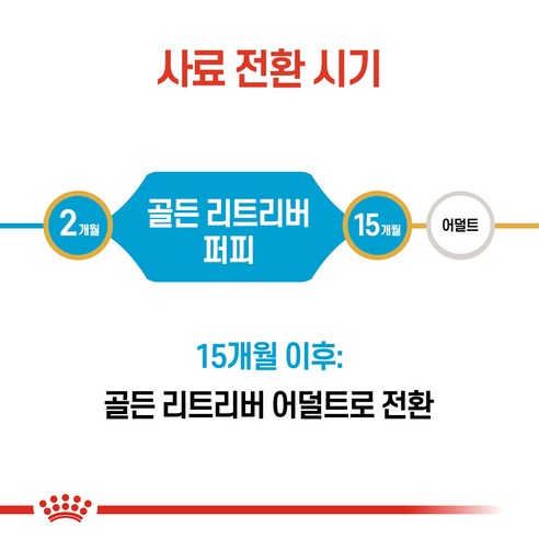 로얄캐닌 견종별 강아지 건식 사료 골든리트리버 퍼피 12kg 관절건강 강... 솔직 후기 | 실제 사용자 리뷰 총정리 - 상품 이미지 3
