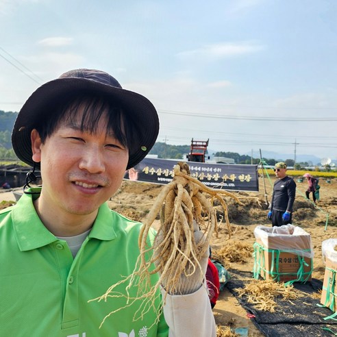 못난이인삼 6년근 파삼 막삼 난발삼 세척 1kg 이미지 4
