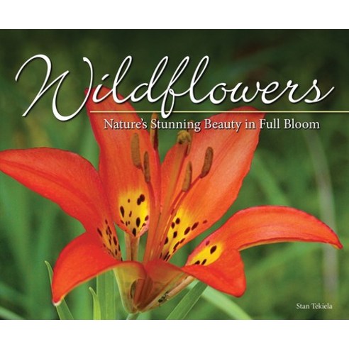 (영문도서)Wildflowers: Nature's Stunning Beauty on Display Paperback, Adventure Publications, English, 9781591937883