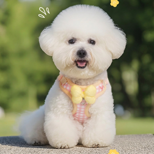 소형견 통기성 하네스 목줄 세트 방풀벙 방지 야외산책용, 핑크색, 1개