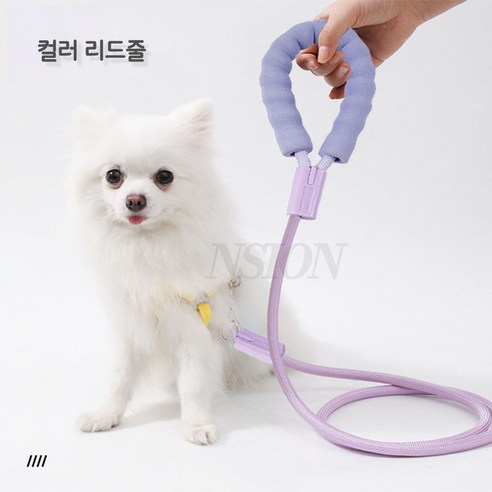 NSION 반려동물 산책용 나일론 컬러 로프 리드줄 2m, 1개, 퍼플