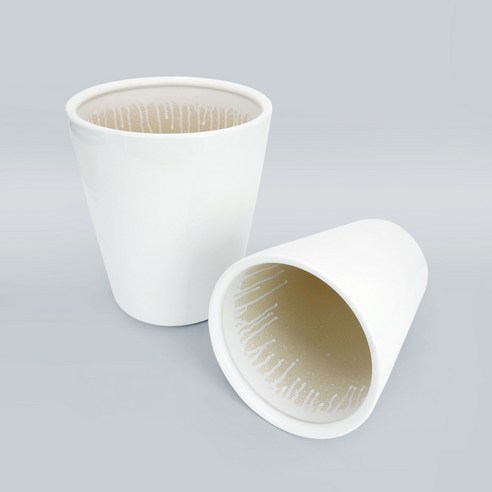 밋밋한 공간에 초록빛 생기를 더하는 완벽한 선택