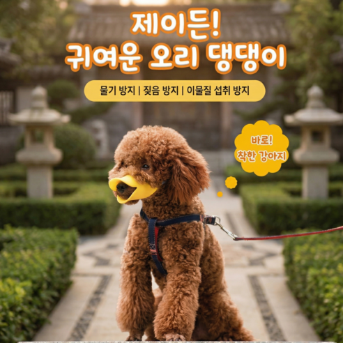 제이든 귀여운 오리입마개 강아지 입마개 짖음방지 실리콘 애견 소형견 통풍 설계 산책용 훈련용 물기방지, 1개, 노란색-L