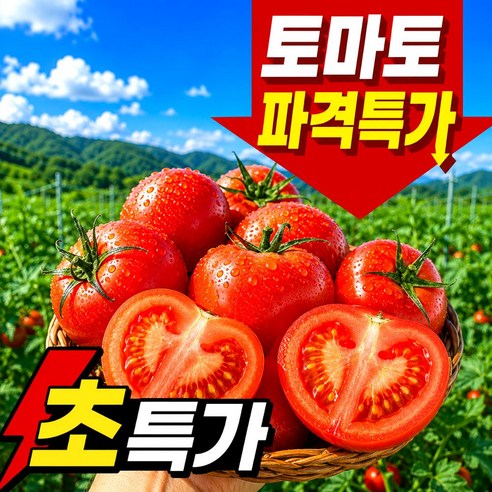 산지직송 토마토 국내산 완숙토마토, 2kg (혼합과), 1박스 - 토마토