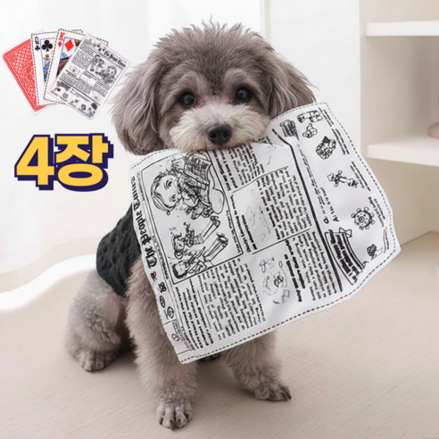 이브앤유 찢어지지 않는 강아지 고양이 신문지 장난감, 1세트, A형(혼합)