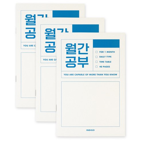 인디고 월간공부 스터디 플래너 1개월, 블루, 3개