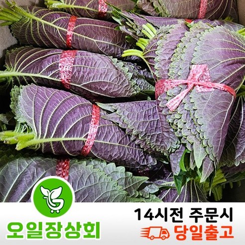 오일장상회 국내산 깻잎 1.5kg~2kg내외 3kg~4kg내외