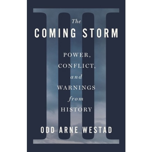 (영문도서)The Coming Storm: Power Conflict and Warnings from History Hardcover, Henry Holt & Company, English, 9781250410283