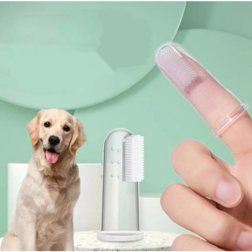 사랑을 담아 닦아주는 시간, 우리 아이 구강 건강 지킴이