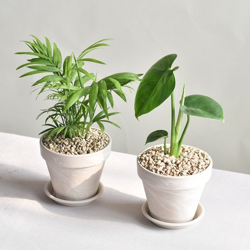 숨 쉬는 집, 맑은 공기로 채우세요