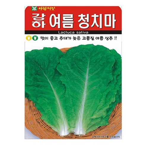 아람종묘 강하 여름청치마 상추 씨앗 2000p, 1개