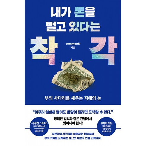 내가 돈을 벌고 있다는 착각 책 (부의 사다리를 세우는 지혜의 눈 자산 달성의 3단계 시스템과 부를 쌓는 핵심 지혜 노하우) commonD 꼬몽디 지음
