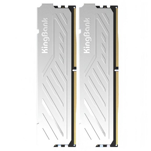 킹뱅크 실버 듀크 DDR5 하이닉스 A다이 6000MHZ CL30 데스크톱용 램 16GB 실버 2개입, 1개, K40603016G