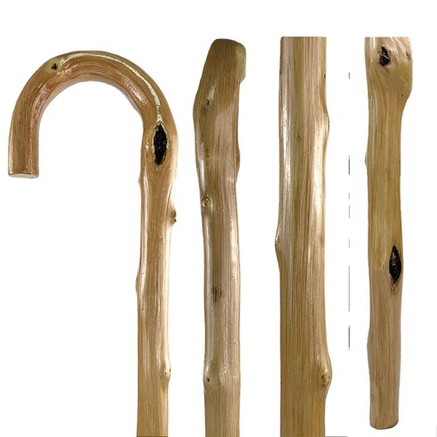 명아주 지팡이로 삶의 활력을 되찾으세요