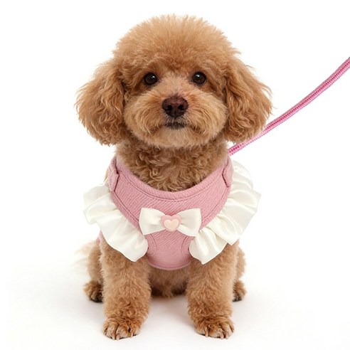 강아지 고양이 크림 레이스 리본 하네스+리드줄 세트, 1세트, 그린