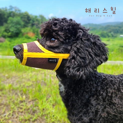 해리스힐 초경량 메쉬 컬러 입마개 S, 1개, 골든옐로우