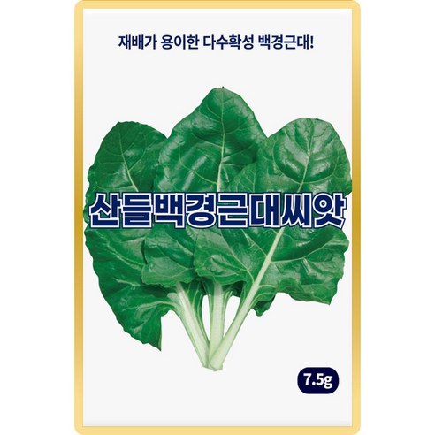 산들 백경 근대씨앗 7.5g 내병성 다수확성 백색 근대씨 종자, 1개