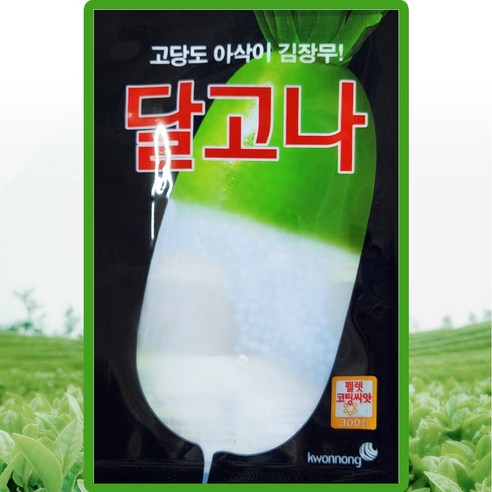 김장무 씨앗 300립 달고나 가을무씨 종자, 1개
