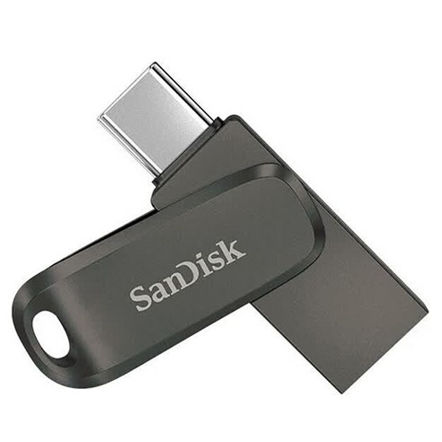 샌디스크 듀얼 커넥터 회전 캡형 USB 3.2 메모리 DDC4 스페이스 그레이, 1개, 256GB