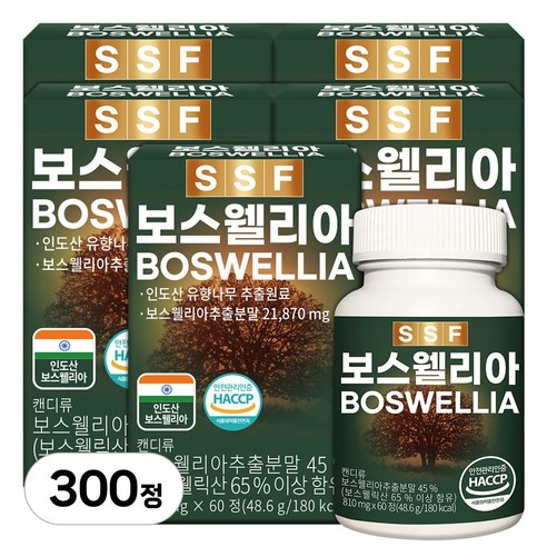 순수식품 보스웰리아 보스웰릭산65% 10개월분(300정), 60정, 5개