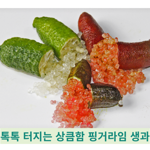 [국내산] 톡톡 팡팡 상큼한 열대과일 희귀 이색 손가락모양 캐비어라임 핑거라임 생과, 냉동 130g, 1개