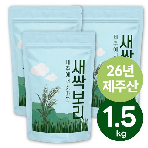 갓 따온 26년산 제주 새싹보리 분말 500g, 3개 맛있게 먹은 솔직 후기 - 상품 이미지 1