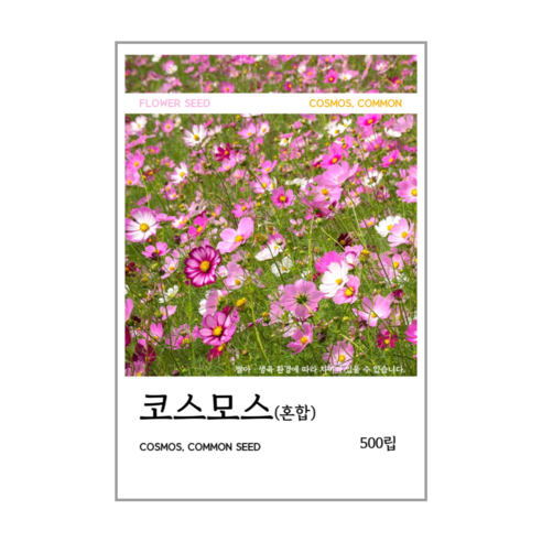 새싹바라기 코스모스(혼합) 씨앗 500립, 1개