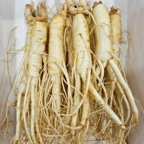 6년근 최상품 풍기인삼 황수삼 200g ~ 800g 세척 인삼 산지직송 ... 실사용 후기 | 효과 있을까? - 상품 이미지 2