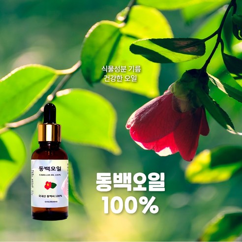 [오늘 짠 오일] 동백오일 30ml 국내산 이미지 2