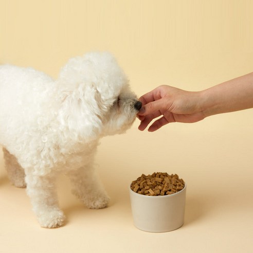 한끼뚝딱 전연령 강아지 황태담은 소프트사료 이미지 3