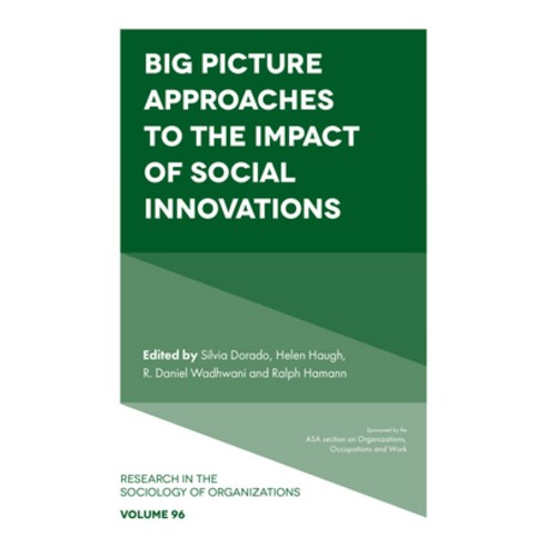 (영문도서)Big Picture Approaches to the Impact of Social Innovations Hardcover, English, 9781836085294