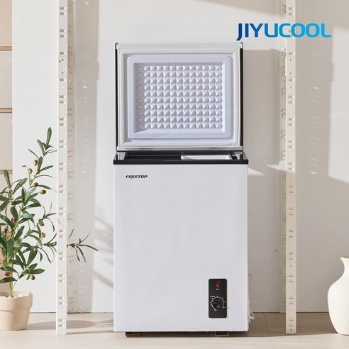프리탑 미니냉동고 가정용 소형냉동고 아이스크림냉동고 60L 이미지 3