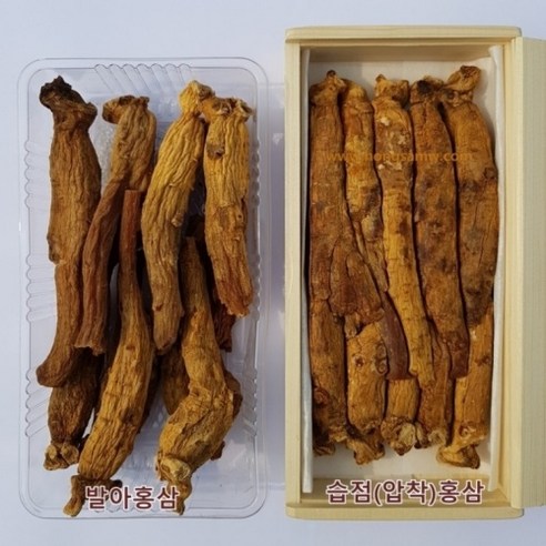 고려홍삼 6년근 기타홍삼 캔대편 20뿌리 금산홍삼 발효홍삼 뿌리홍삼 건홍... 맛있게 먹은 솔직 후기 - 상품 이미지 4