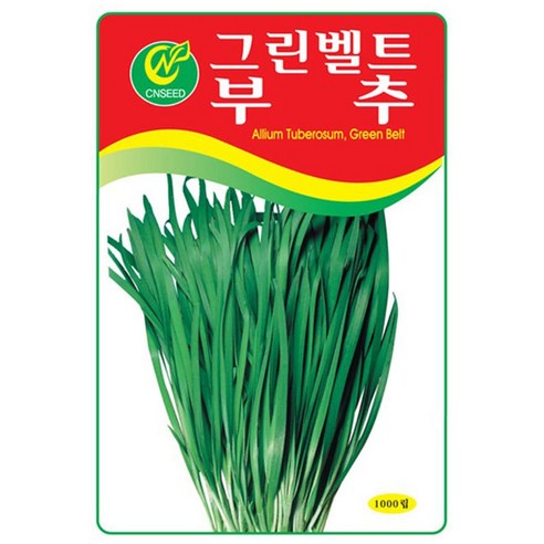 그린벨트 부추씨앗 부추씨 1000립, 1개