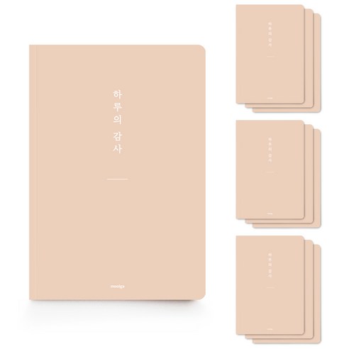 [물가] 베이직 하루의 감사노트, 10개, 오렌지