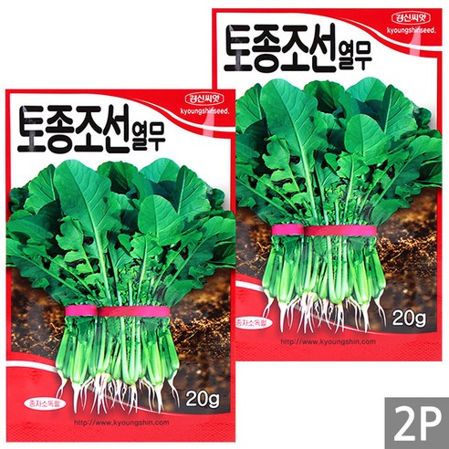 세인화분 토종 조선 열무 20g - 씨 씨앗 열무씨 열무씨앗 채소 야채, 2개