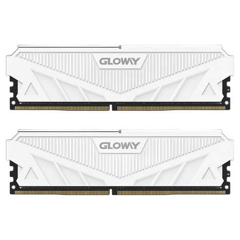 글로웨이 DDR5 데스크탑 히트싱크 램 화이트 C36 8GB GW6000N8G-WM 2개입, 1개