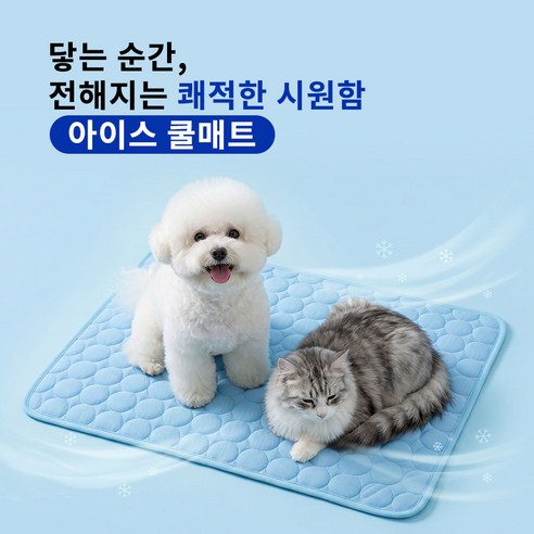 펫거스 냉감패드 강아지 고양이 쿨매트, 1개, 블루