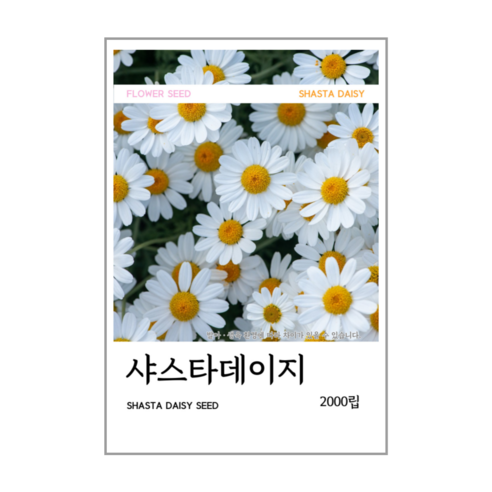 샤스타데이지 씨앗 2000립(코팅 종자 8g), 1개
