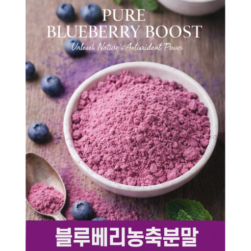 이번생은 블루베리농축분말 미국산 전통 블루베리 300g, 1개