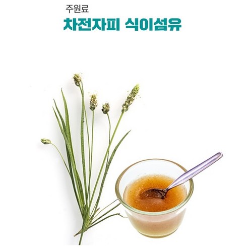 쾌변 차전자피 유산균 배변활동개선 장건강 대장에좋은 식이섬유 차전자피 가... 솔직 후기 | 실사용자 리뷰 분석 - 상품 이미지 3
