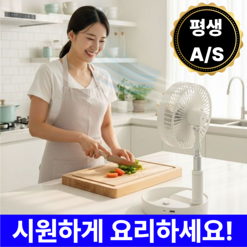 국내 KC인증 BLDC 무선 저소음 리모컨 휴대용 선풍기 서큘레이터, 화이트, TF-521