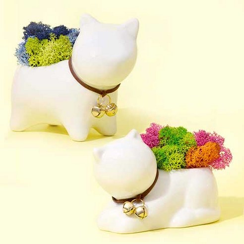 꽃순이 스칸디아모스, 당신의 공간에 자연의 숨결을.