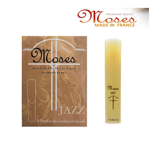 음악과 함께하는 일상, 숨 막히는 순간을 날려줄 단 하나의 선택 모세스리드