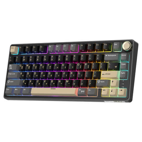로얄클루지 RKR75 RGB 기계식 유선 키보드, 팬텀 블랙, 청축