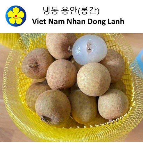 냉동 용안(롱간) 500g Nhan Dong Lanh 원산지 : 베트남 - 기타냉동간편과일 | 쿠팡