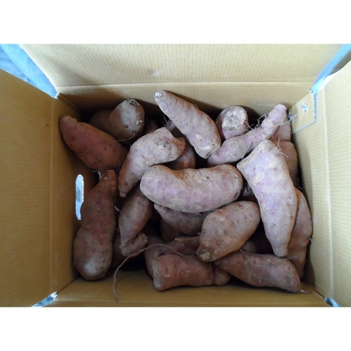 밥상 위의 달콤한 반전 고구마10kg