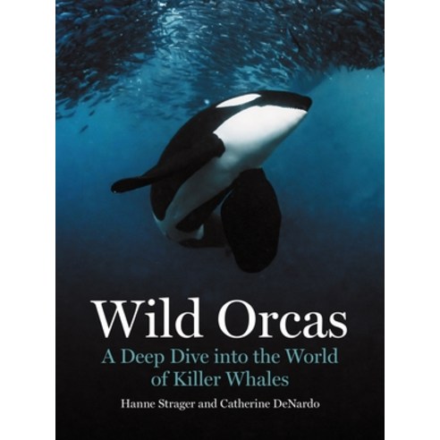 (영문도서)Wild Orcas: A Deep Dive Into the World of Killer Whales Hardcover, Princeton University Press, English, 9780691269849